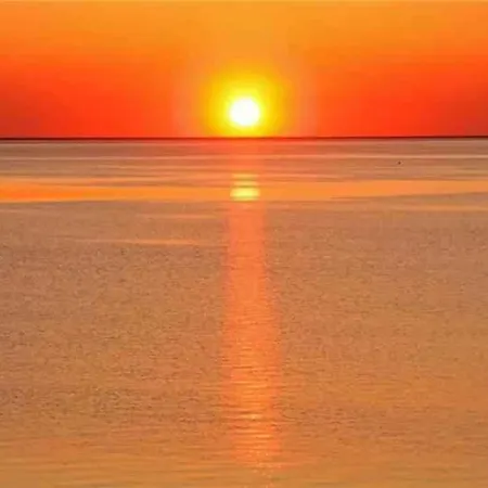 In Paduledda 53780 *