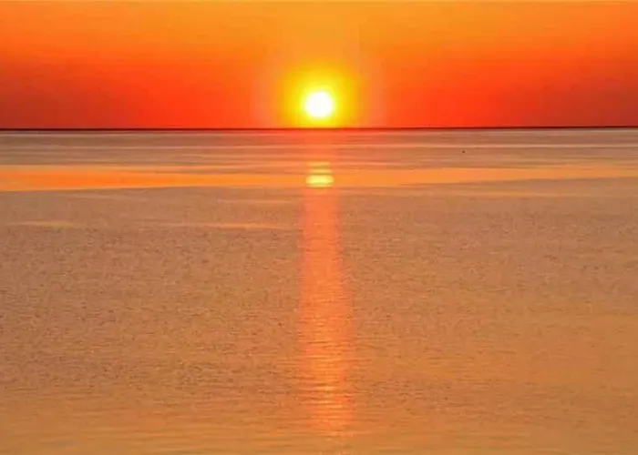 In Paduledda 53780 *